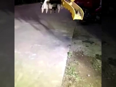 โรงงานที่กําหนดเอง รุ่นใหม่ของเครื่องขุดขนาดเล็ก ไฮดรอลิกจับถังสําหรับขาย